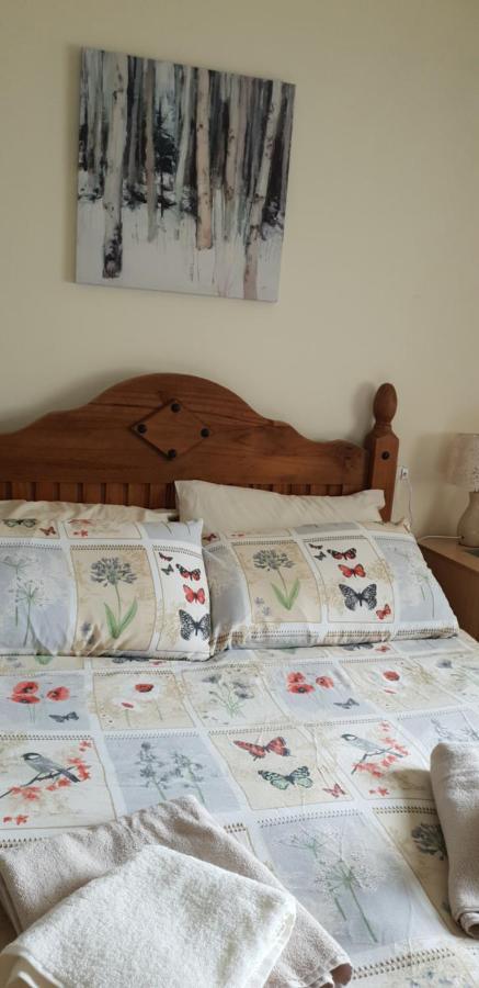 Comfy Quiet Town House Villa Strabane Ngoại thất bức ảnh